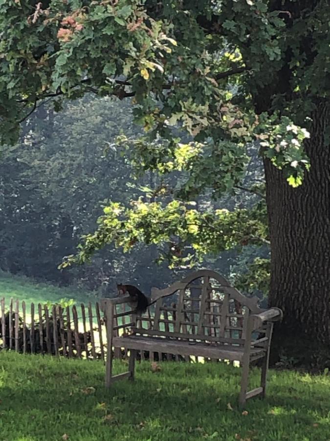 Gartenblick ライヒリンゲン エクステリア 写真