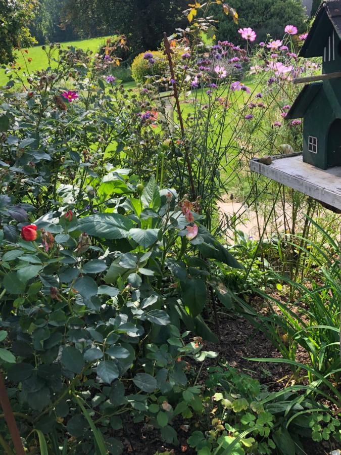 Gartenblick ライヒリンゲン エクステリア 写真