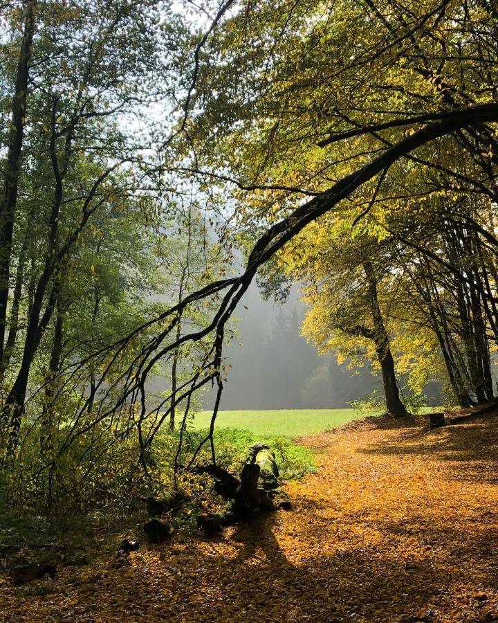 Gartenblick ライヒリンゲン エクステリア 写真