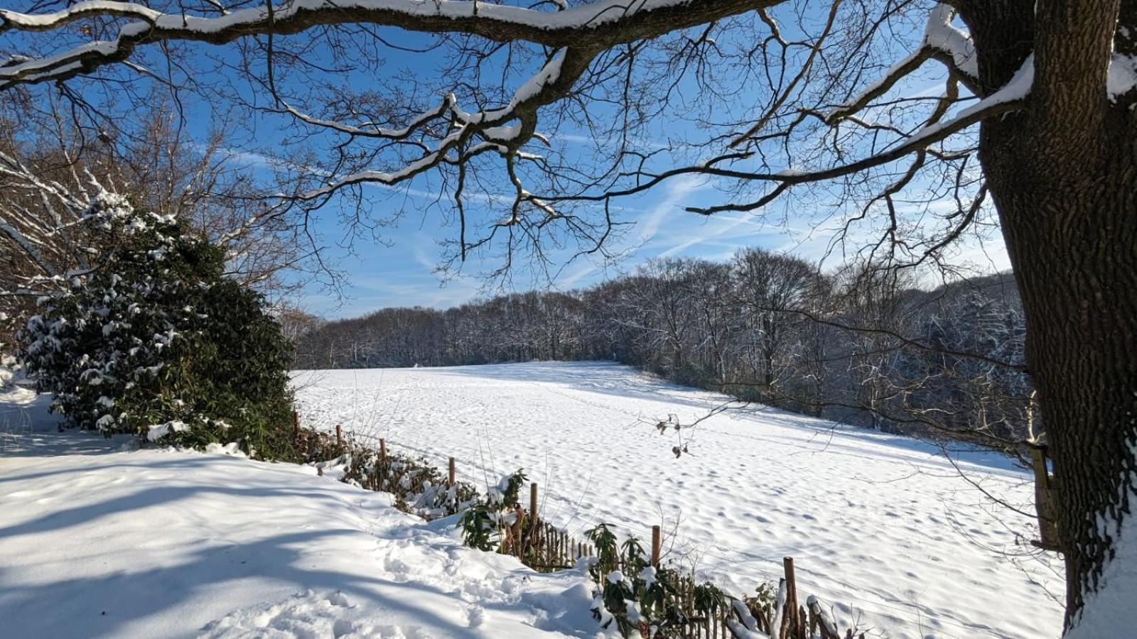 Gartenblick ライヒリンゲン エクステリア 写真