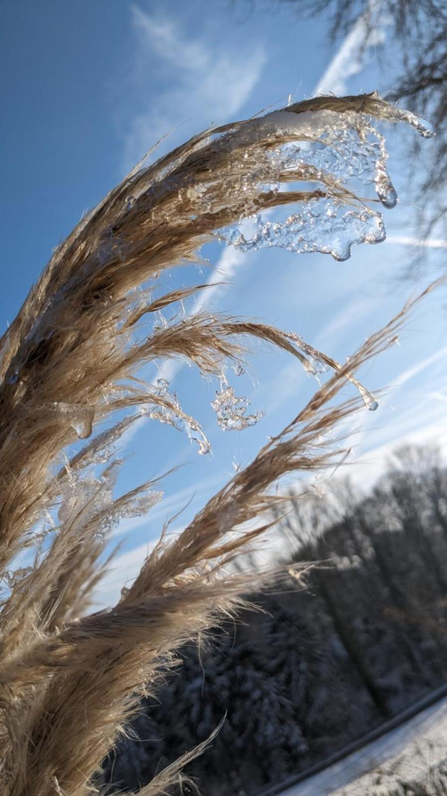 Gartenblick ライヒリンゲン エクステリア 写真