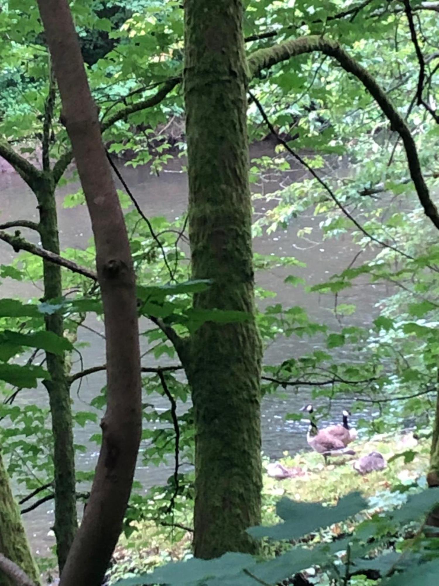 Gartenblick ライヒリンゲン エクステリア 写真