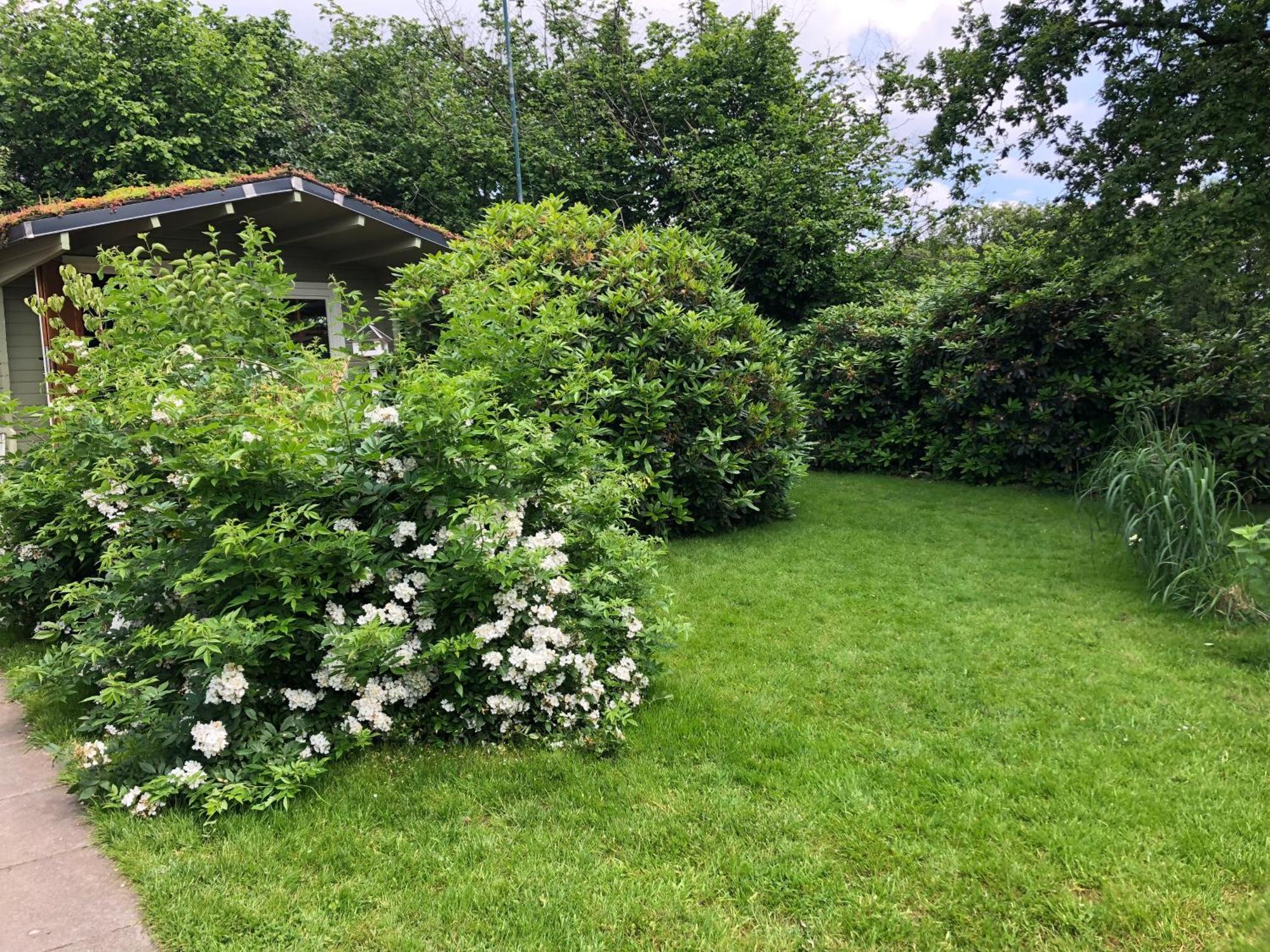 Gartenblick ライヒリンゲン エクステリア 写真